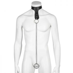 DOMINIX Deluxe Leather Collar with Cock Ring
