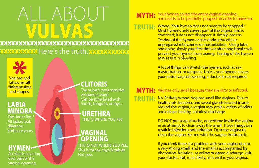 vulva-facts-infographic