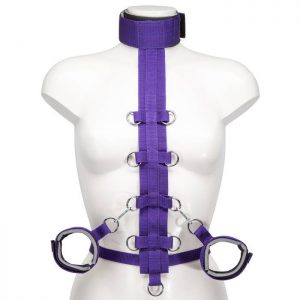 Purple Reins Body Harness Restraint