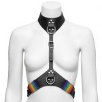 Bondage Boutique Rainbow and Leather Harness with Collar - Bondage Boutique