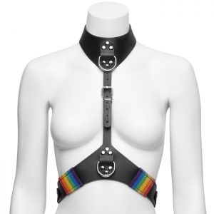 Bondage Boutique Rainbow and Leather Harness with Collar