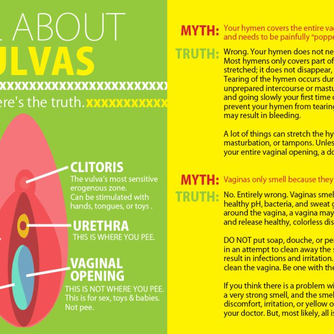 vulva-facts-infographic